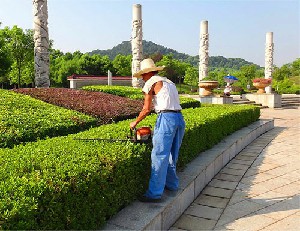 園林綠化養護